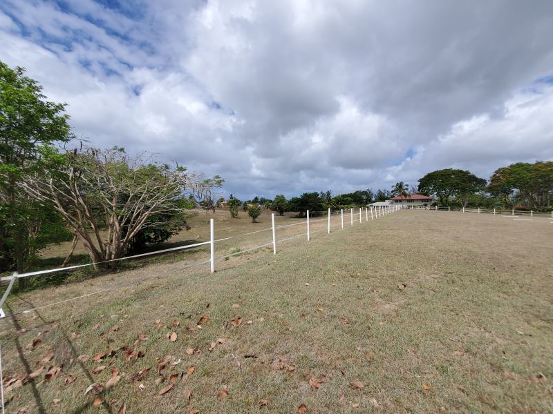 Land For Sale in Frere Pilgrim Barbados
